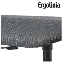 Ergolinia 10002