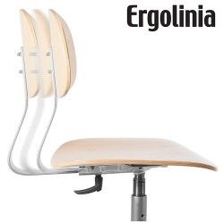 Ergolinia 10004