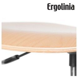 Ergolinia 10004