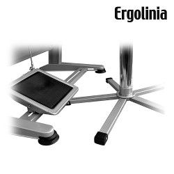 Ergolinia EVO2