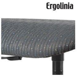 Ergolinia EVO2