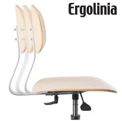 Ergolinia EVO4