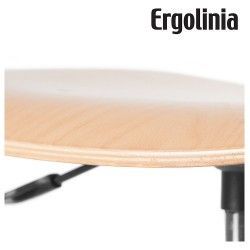 Ergolinia EVO4